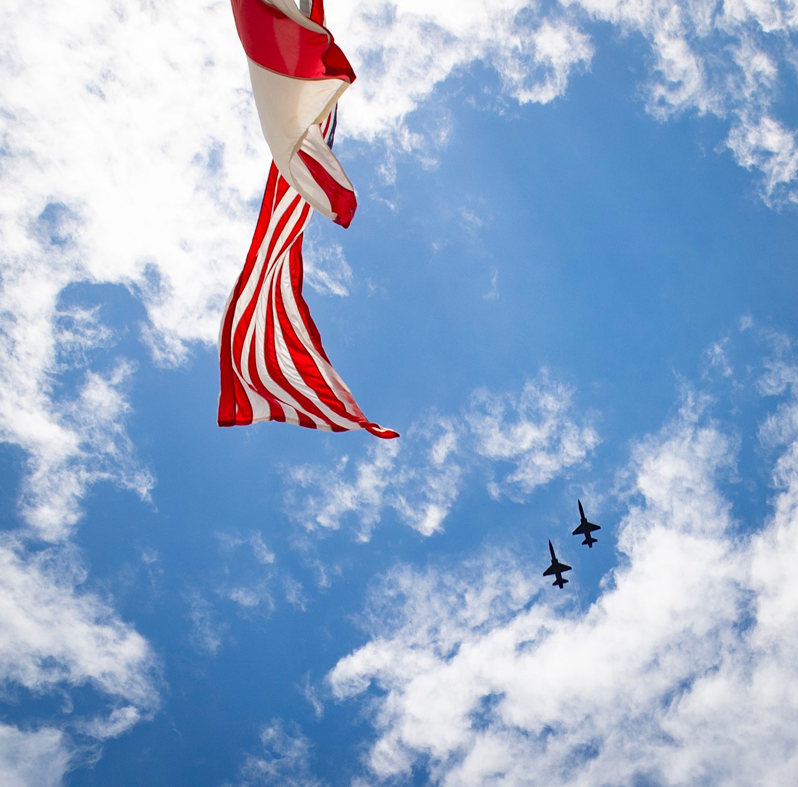 Veterans day profile pic