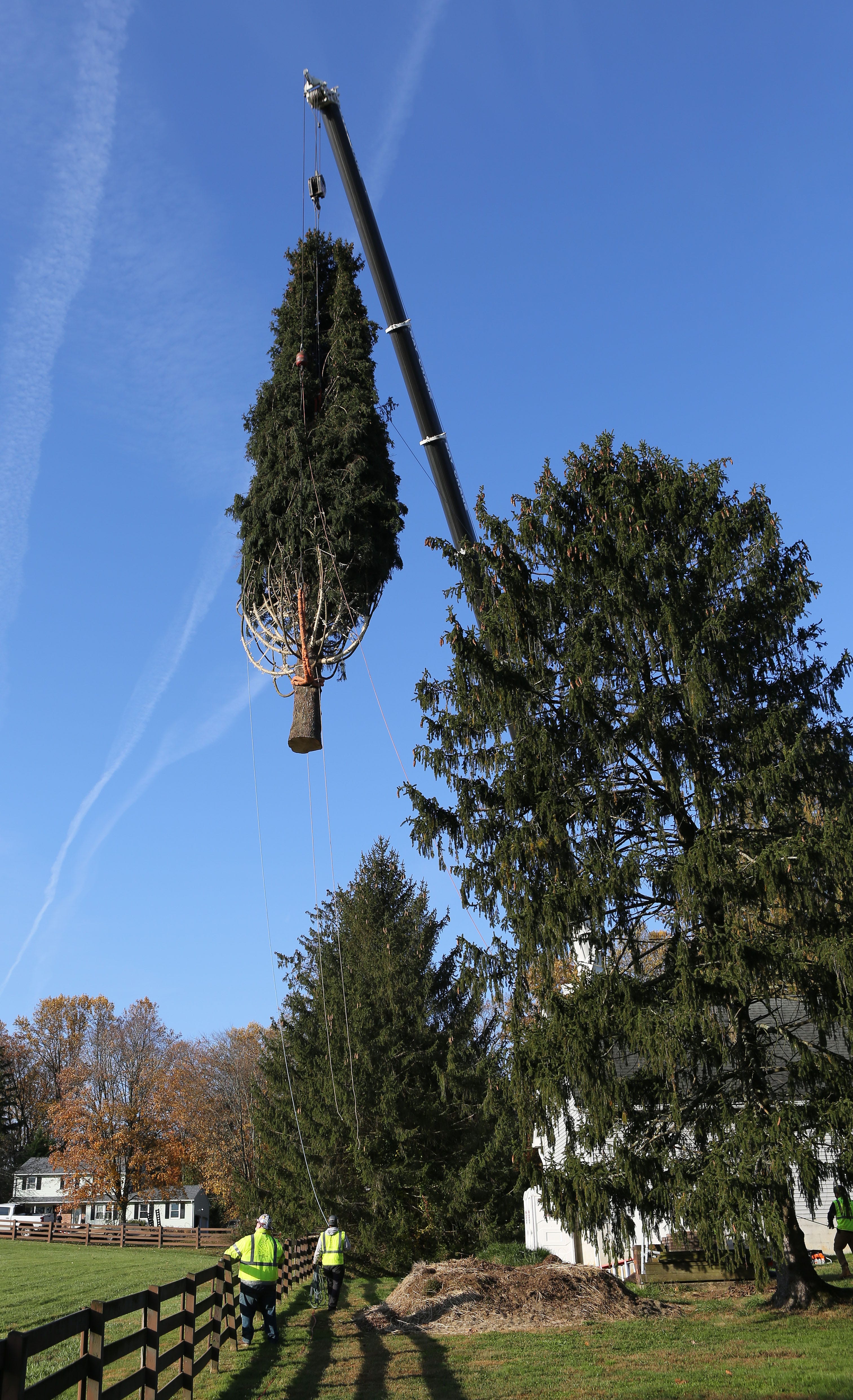 Rockefeller Christmas tree comes through Newark on way to NYC