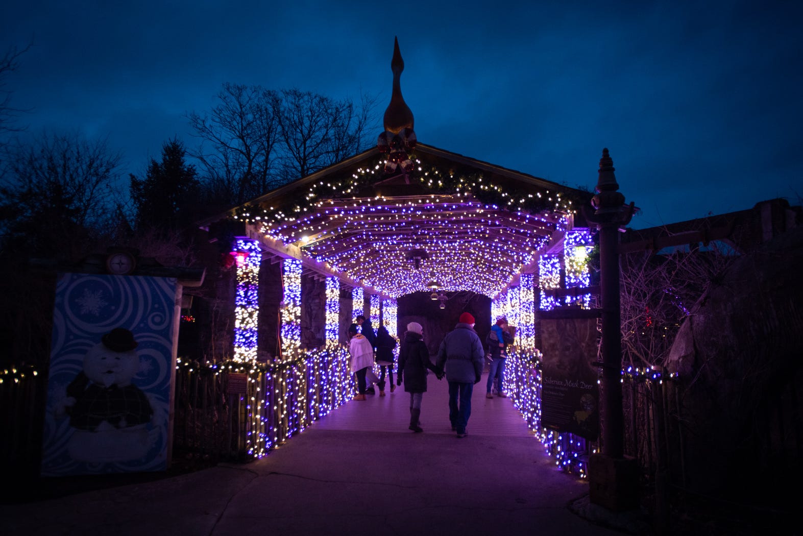 Columbus Zoo Christmas Lights 2021 What To Know About Columbus Zoo S Wildlights Its 3 Million Led Lights