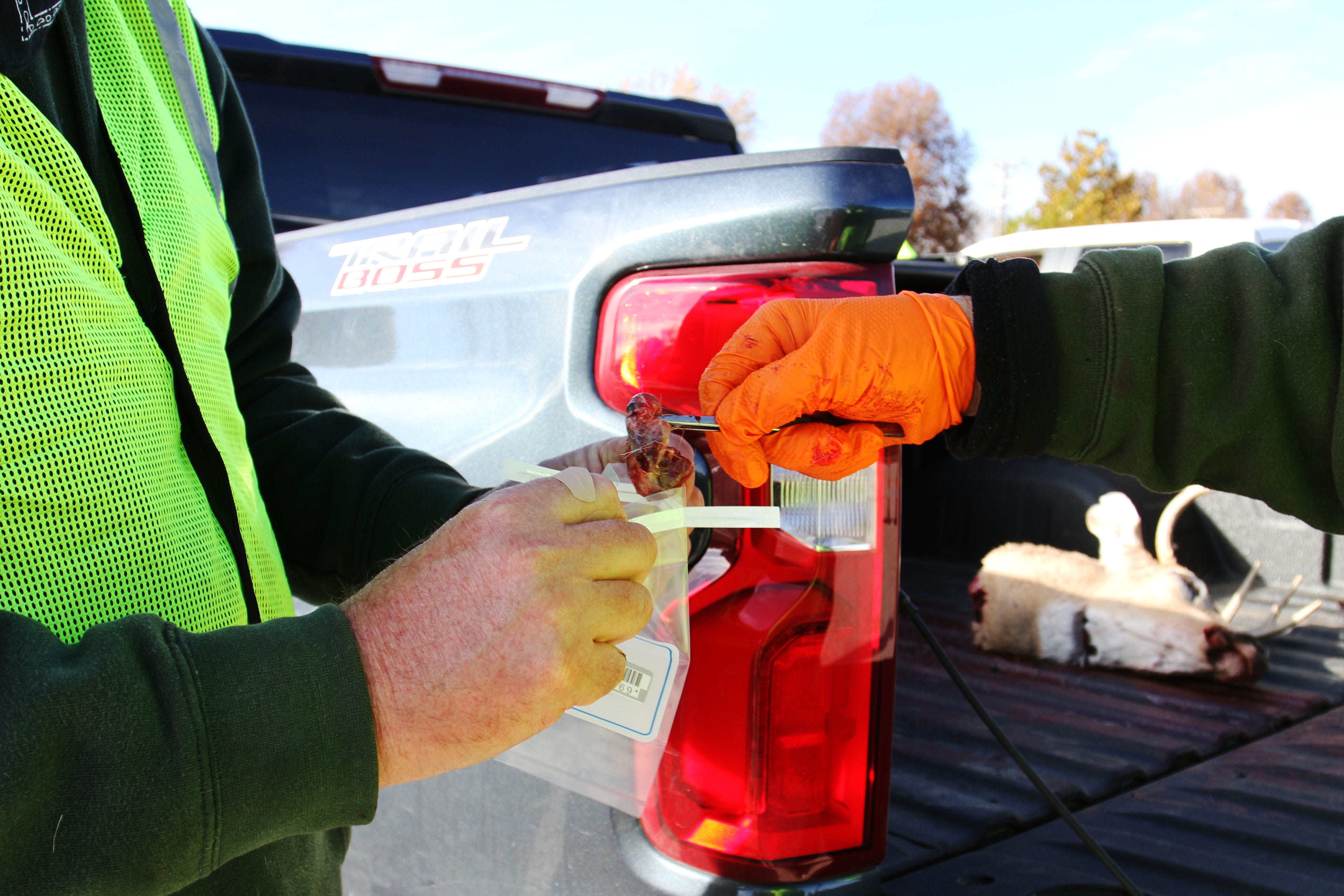 What you need to know ahead of mandatory CWD sampling in Missouri