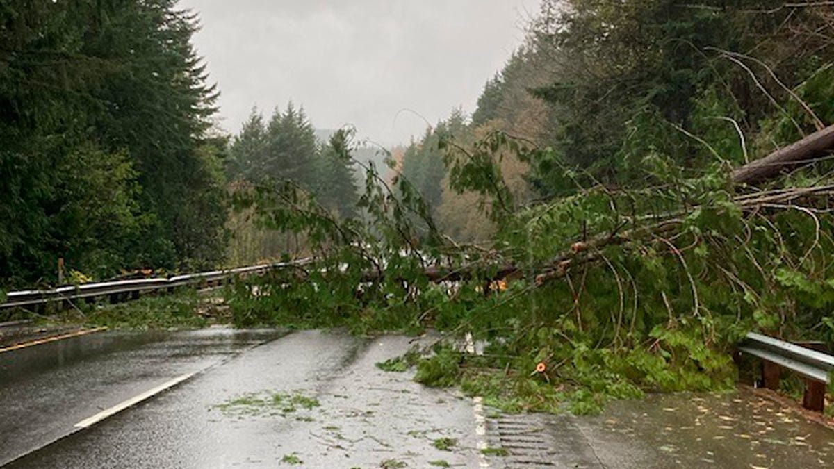 In this photo provided by the Washington State Department of Transportation, a rock and mudslide briefly closed a portion of Interstate 5 through Bellingham, Washington. There was widespread flooding in the area as storms continued in the Pacific Northwest.