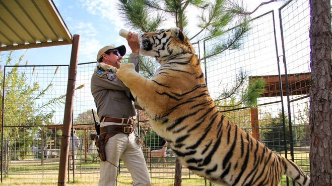 Tri Cities Tiger King What Creatures Could You Start Your Own Exotic Animal Park With Tri Cities Tiger King What Creatures Could You Start Your Own Exotic Animal Park With