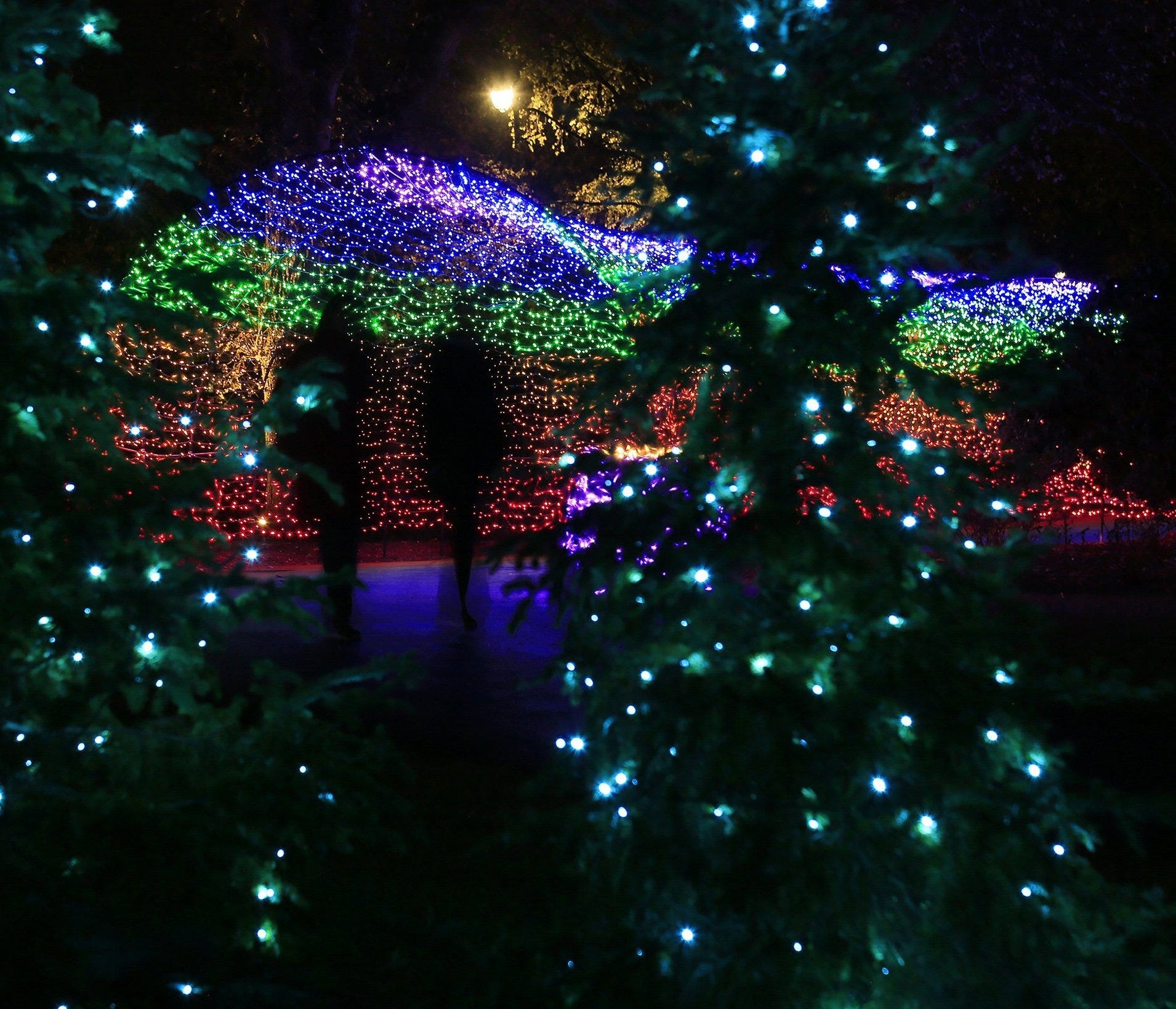 2022 Christmas Holiday Events Columbus Ohio 17 Things To Do With Kids For Christmas Break In Columbus