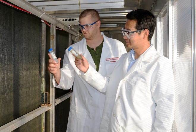 The founders of Gross-Wen Technologies, Martin Gross (left) and Zhiyou Wen look at water samples. Gross-Wen developed a method for using algae to help municipalities and industrial clients sustainably treat water.