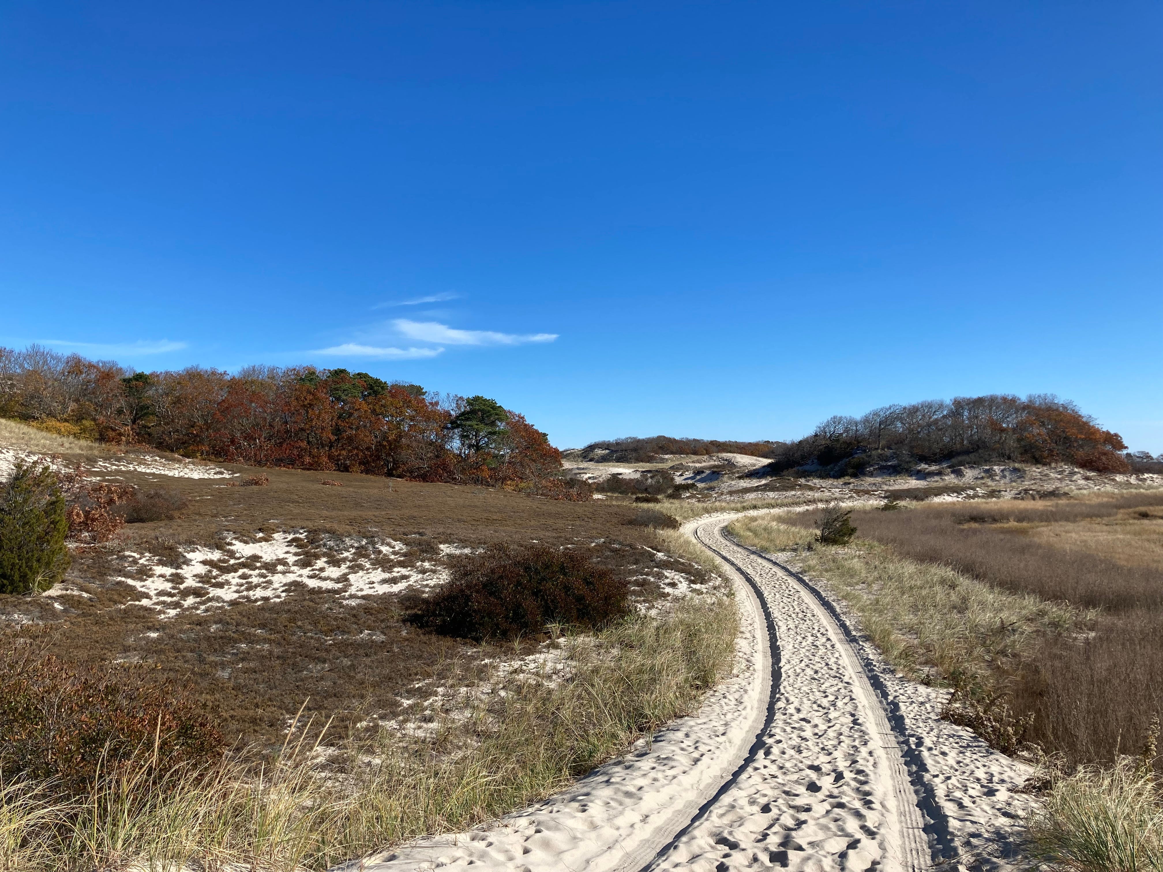 Hiking Cape Cod The Marsh Trail at Sandy Neck offers many options