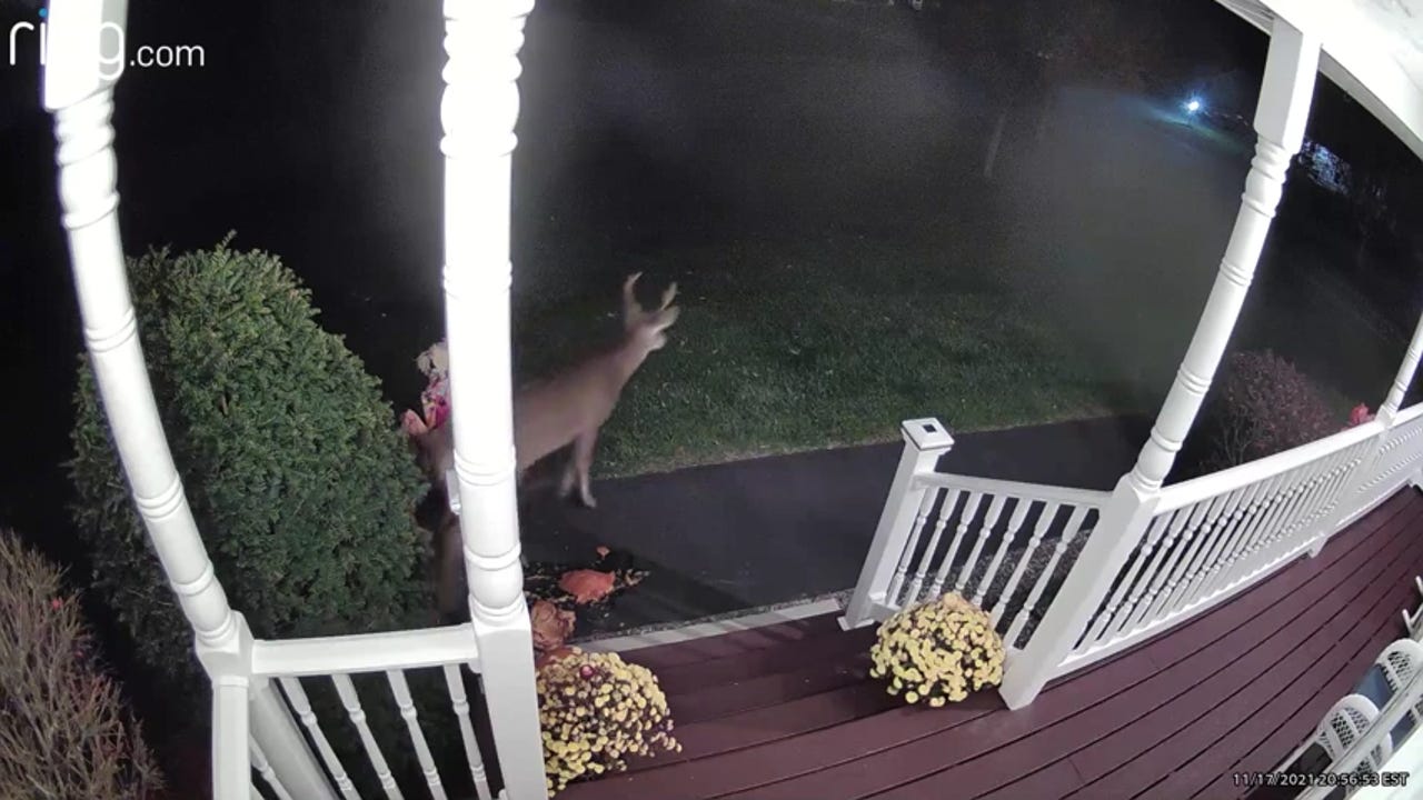 North Andover Christmas Parade 2021 North Andover Santa Parade Coming Saturday North Andover Christmas Parade 2021 North Andover Santa Parade Coming Saturday