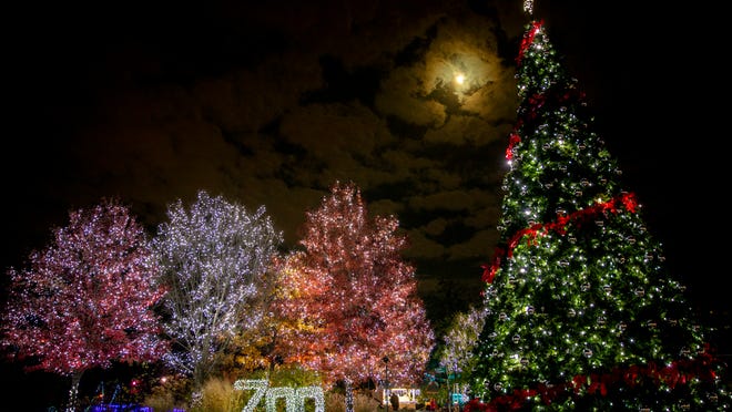 christmas lights colorado springs zoo