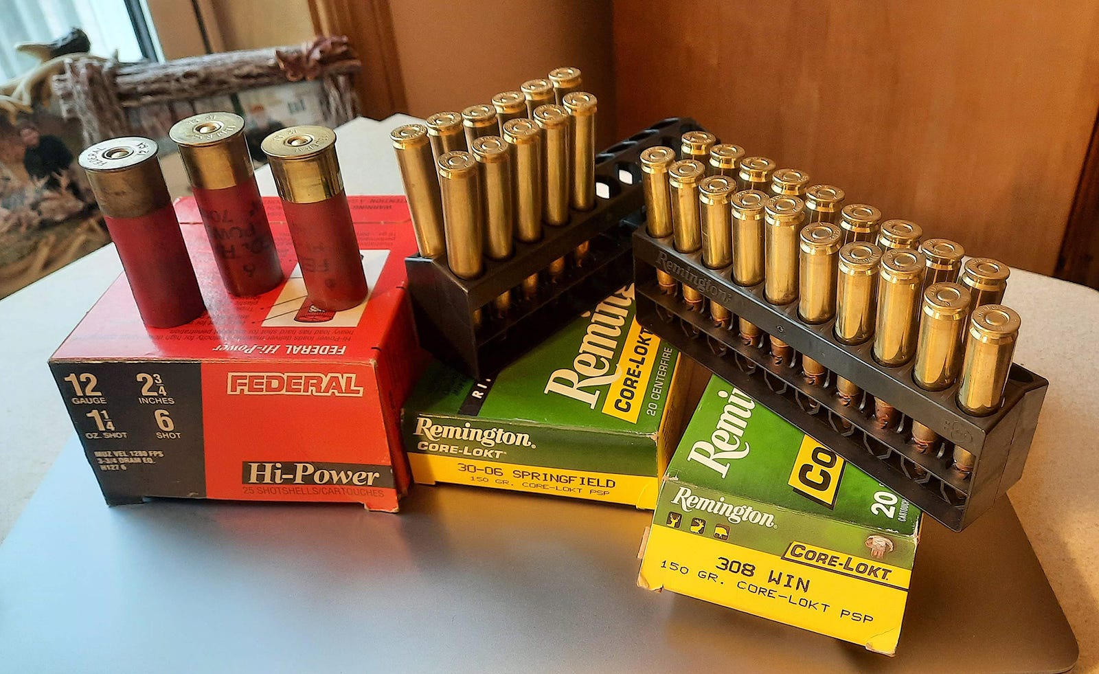 270 Winchester Ammo