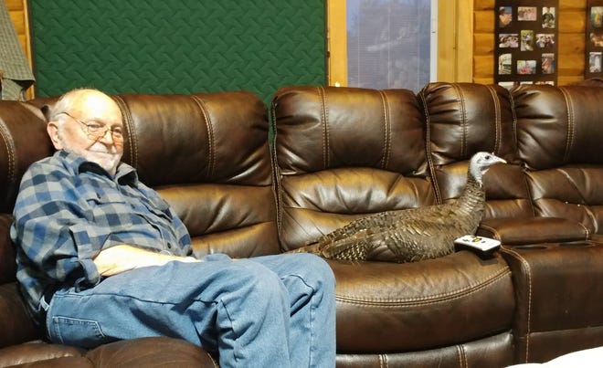 Don Gibson y Tory de Turquía se sientan en el sofá en enero de 2018 viendo televisión.