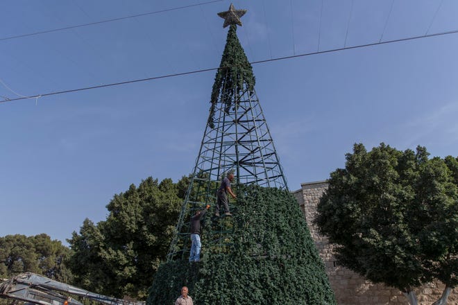 Palestinian workers prepare a Christmas tree in Manager Square, adjacent to the Church of the Nativity, in the West Bank city of Bethlehem on Nov. 16, 2021.