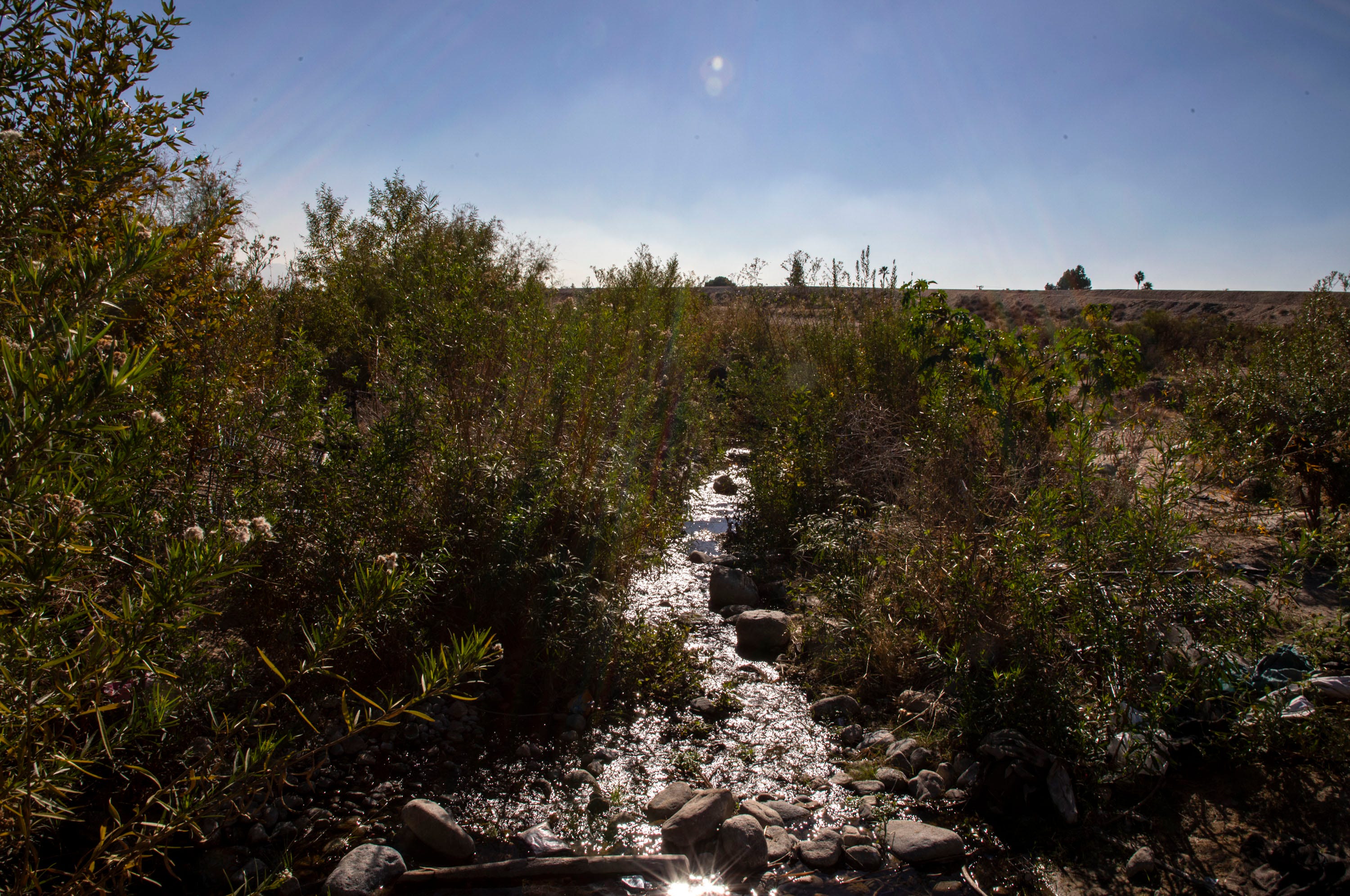 Just beyond a culvert, Twin Creek flows into a desert landscape surrounded by a narrow line of vegetation, Thursday, Nov. 4, 2021, in San Bernardino, Calif.
