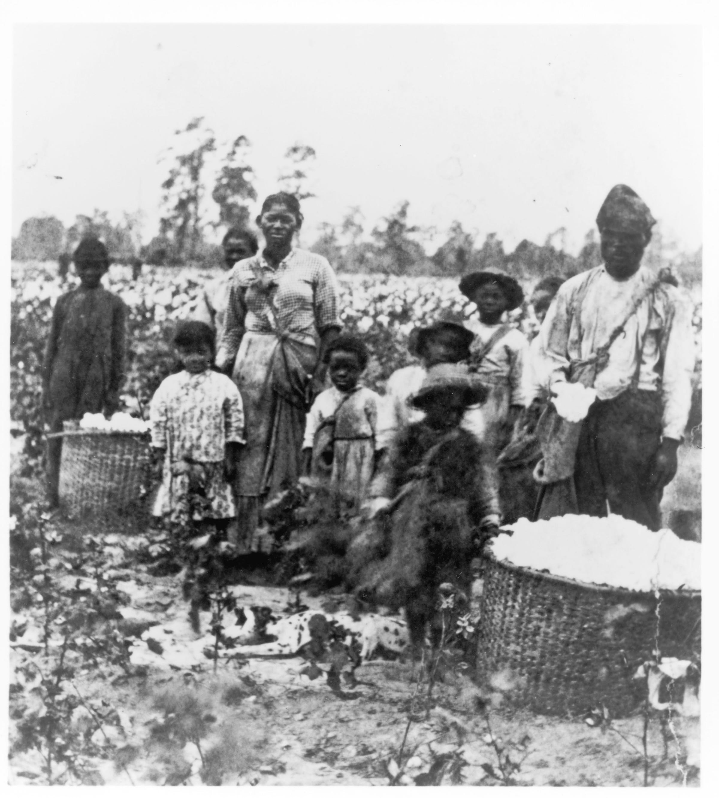 How white Americans can come to terms with consequences of slavery