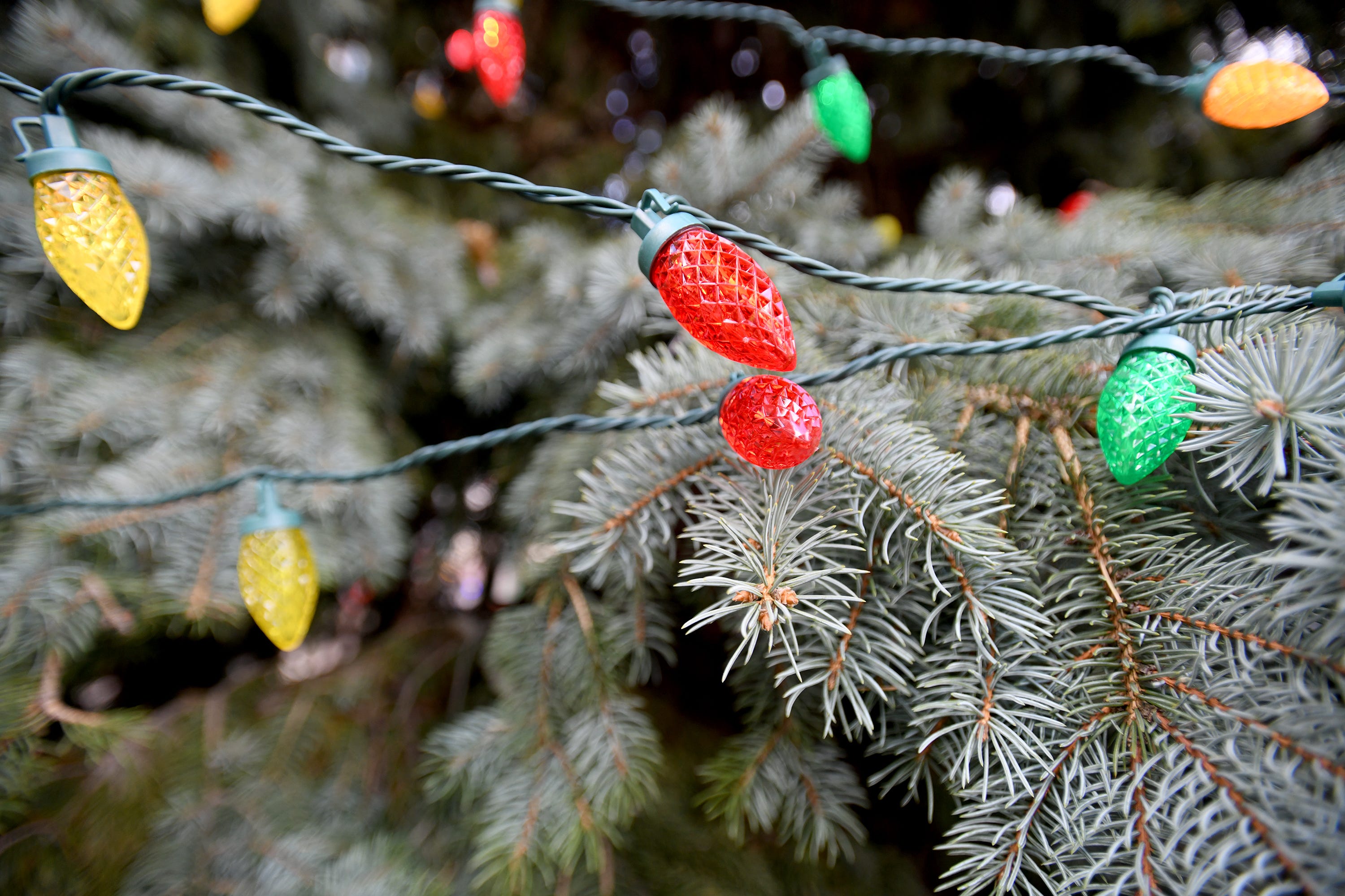 Canton's downtown Christmas tree decked for the holidays