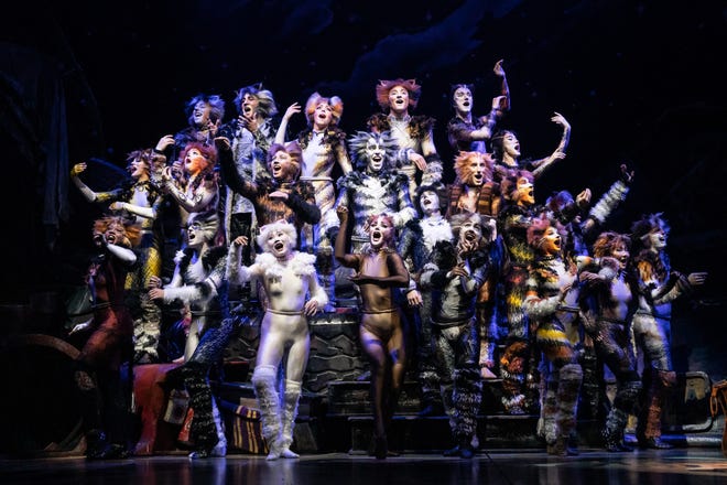 American Theatre Guild will present the 2021-2022 national tour of "Cats" from Dec. 2-5, 2021, at the Morris Performing Arts Center in South Bend.