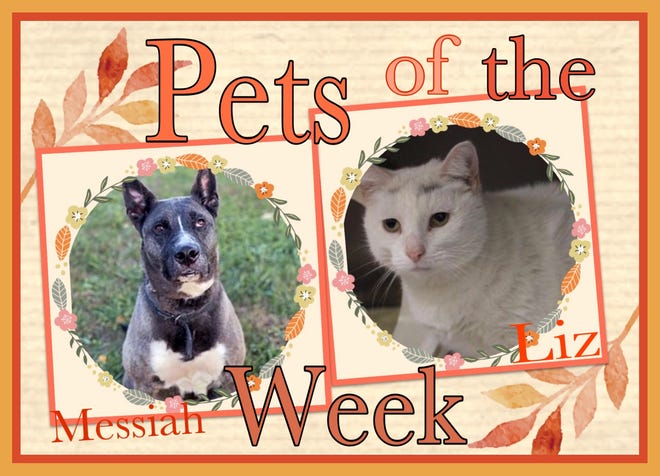 Pets of the Week: Liz and Messiah