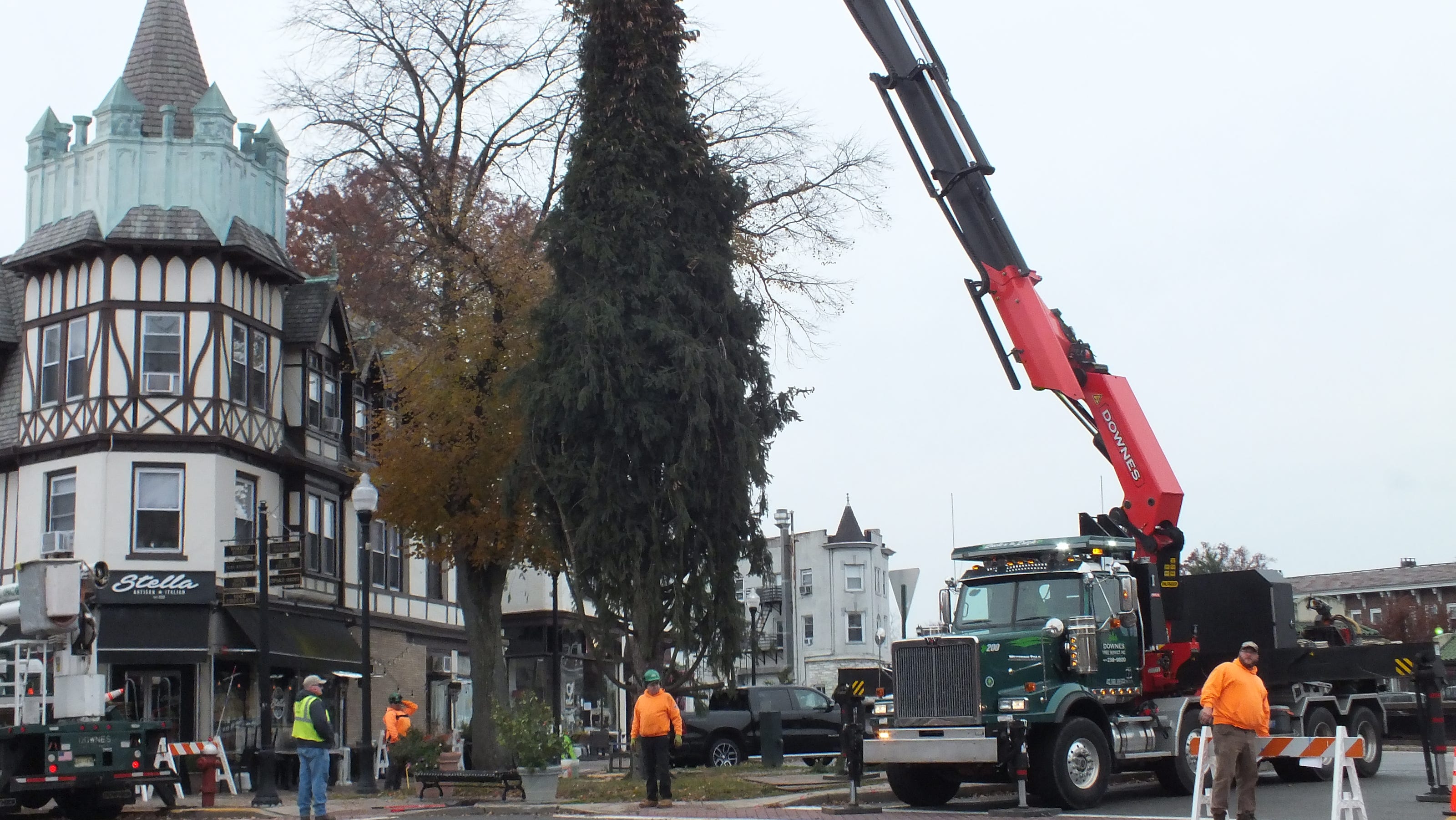 When is the Ridgewood tree lighting in 2021? The tree arrives