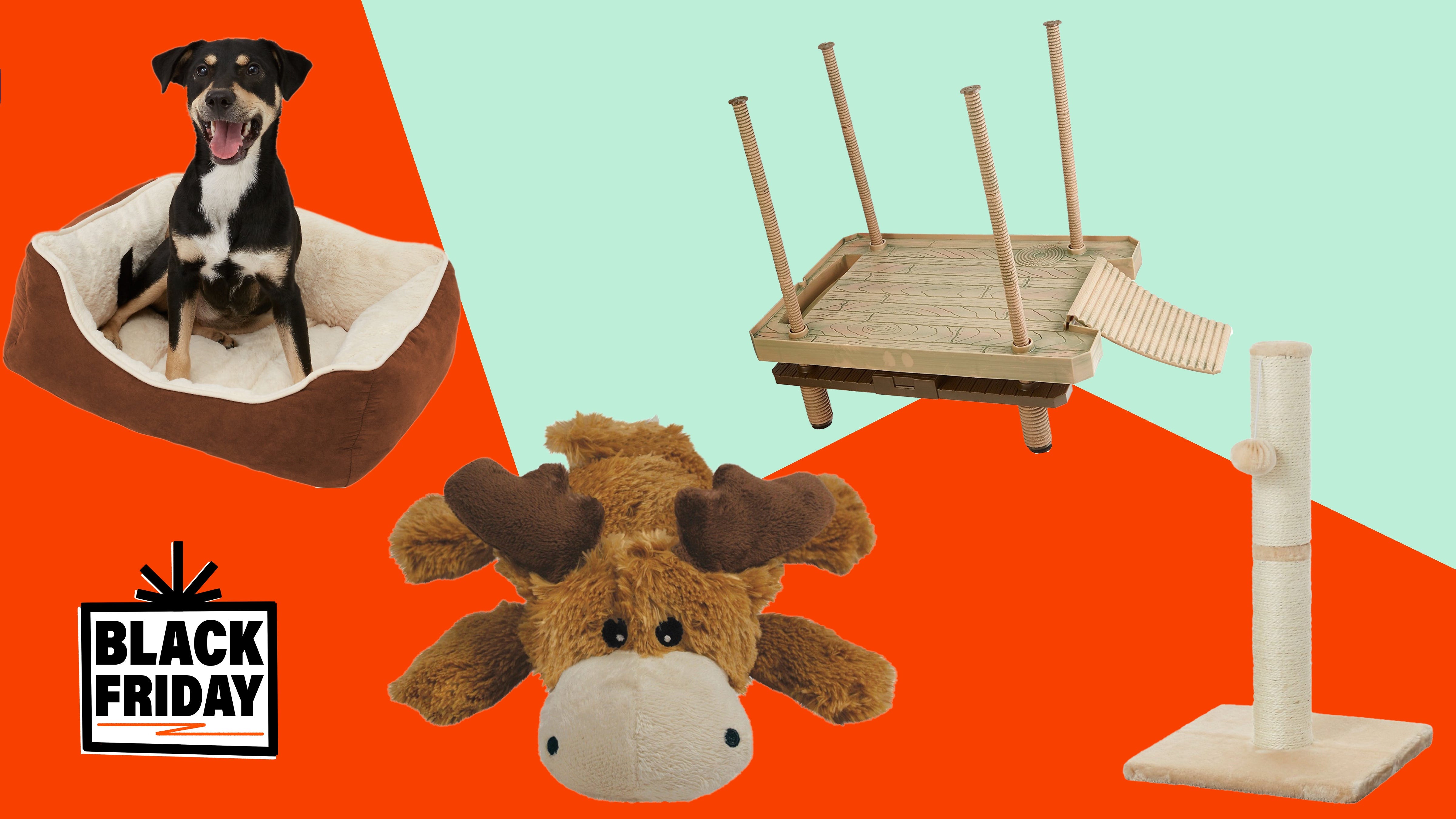 best black friday deals for dogs
