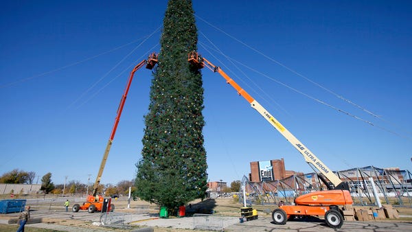 Workers decorate a 140-foot-tall Douglas fir, rega