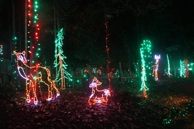 The Holiday Light Safari continues Dec. 3-5, Dec. 10-12, Dec. 17-19, Dec. 22-23 and Dec. 26-29. at the Alexandria Zoo on Masonic Drive. Hours are 5:30-8 p.m. The event closes at 9 p.m. General admission is $8; Friends of the Alexandria  $6 and those 3 and younger free.