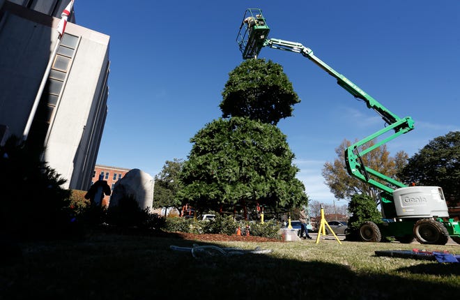 A Tuscaloosa County work crew raises the Christmas tree in front of the Tuscaloosa County Courthouse on Greensboro Ave. in Tuscaloosa Monday, Nov. 29, 2021. After a COVID-induced cancellation of most holiday activities last year, the Christmas Parade, tree lighting, Tinsel Trail and ice skating have all returned in 2021. [Staff Photo/Gary Cosby Jr.]