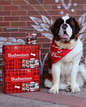 Wilson the Saint Bernard from Liberty Township is the winner of the first-ever Pupweiser contest, and is featured on limited-edition Budweiser holiday cans this year.