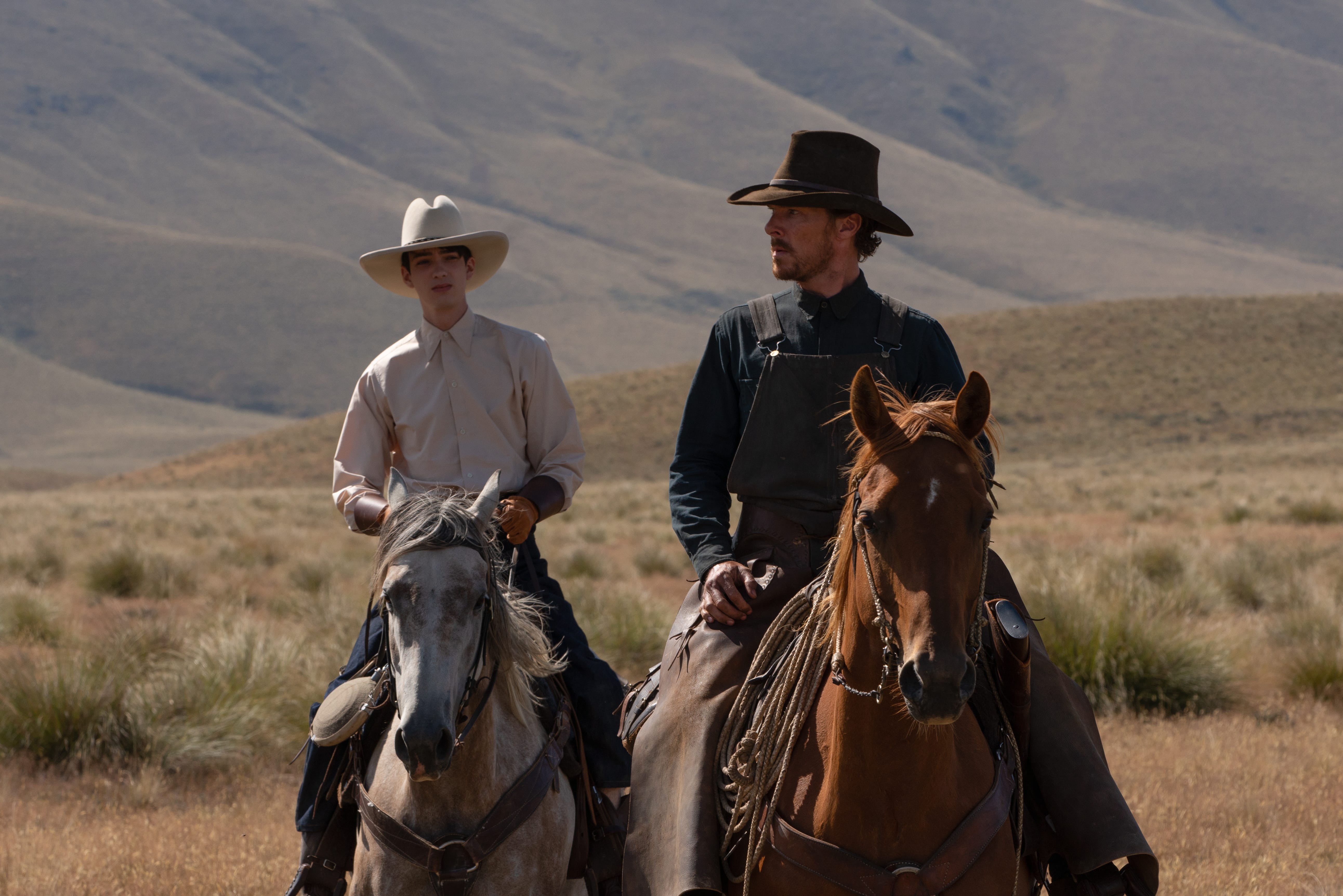 Ranked: The 10 best movies of 2021, from 'The Power of the Dog' to 