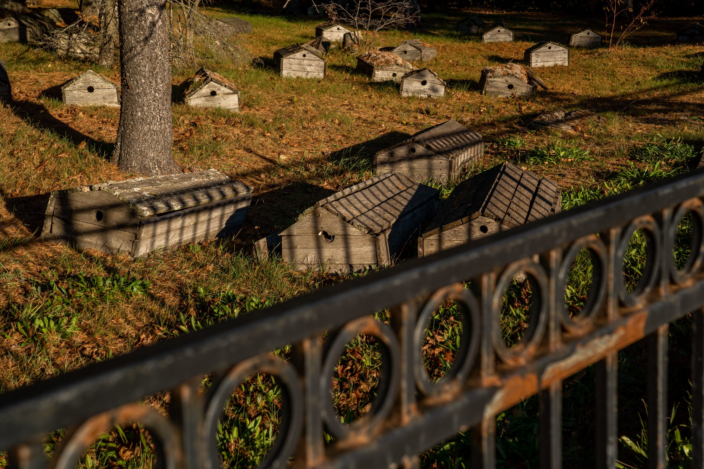 Spirit houses rest on top of graves inside the Old Indian Burial Ground in Bay Mills Township on Monday, Oct. 18, 2021. Scans of the area by ground-penetrating radar in recent years showed there might be up to 1,800 people buried at the site.