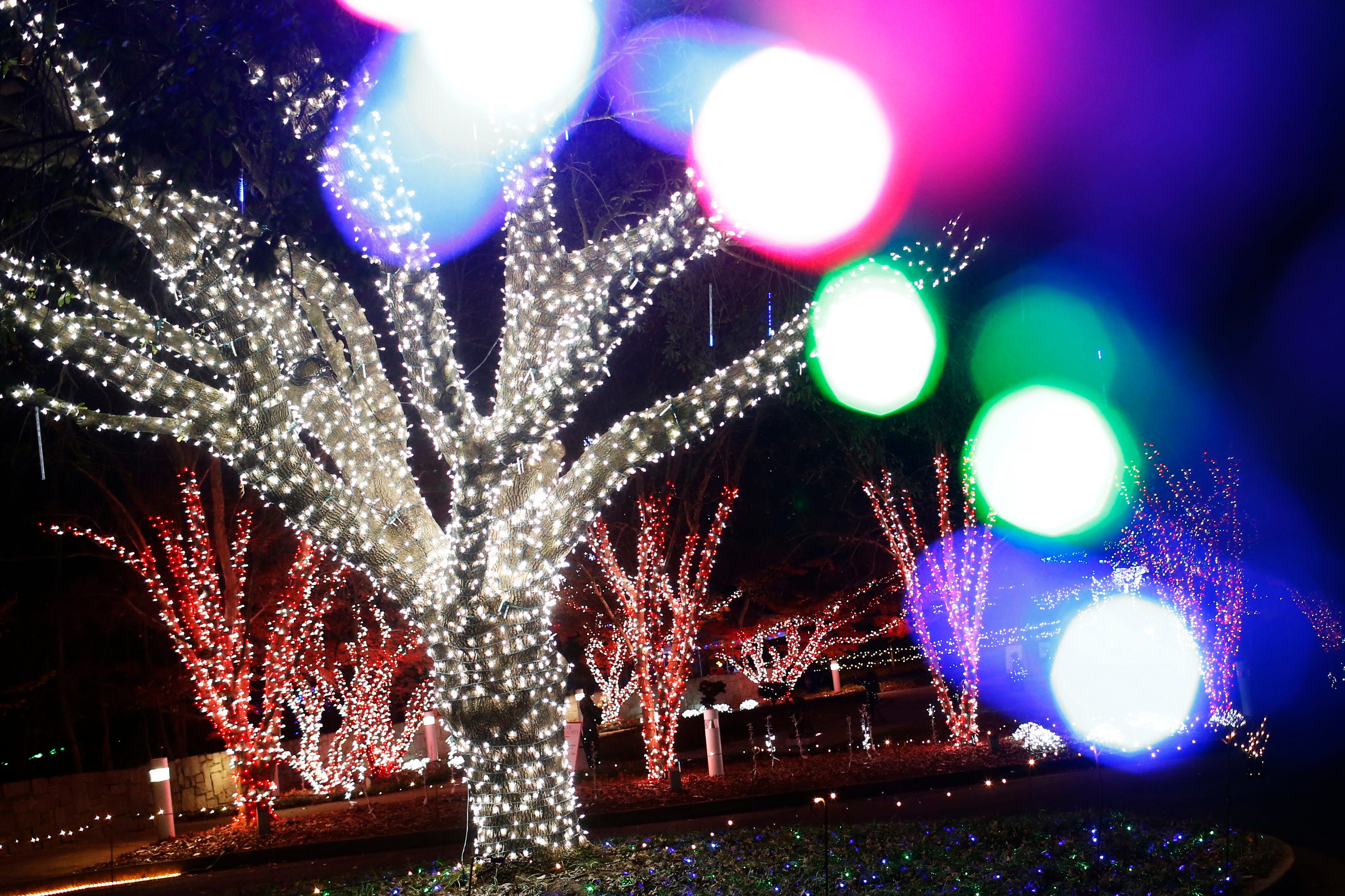 Christmas lights in Athens, Ga. Where to find displays in 2021