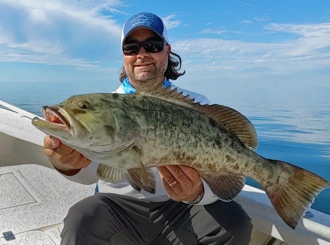 Capt. William Toney, of Homosassa Inshore Fishing Charters, caught this 30-inch gag grouper on a Rapala Magnum shallow diving plug in about 8 feet of water nearshore out of Homosassa recently.