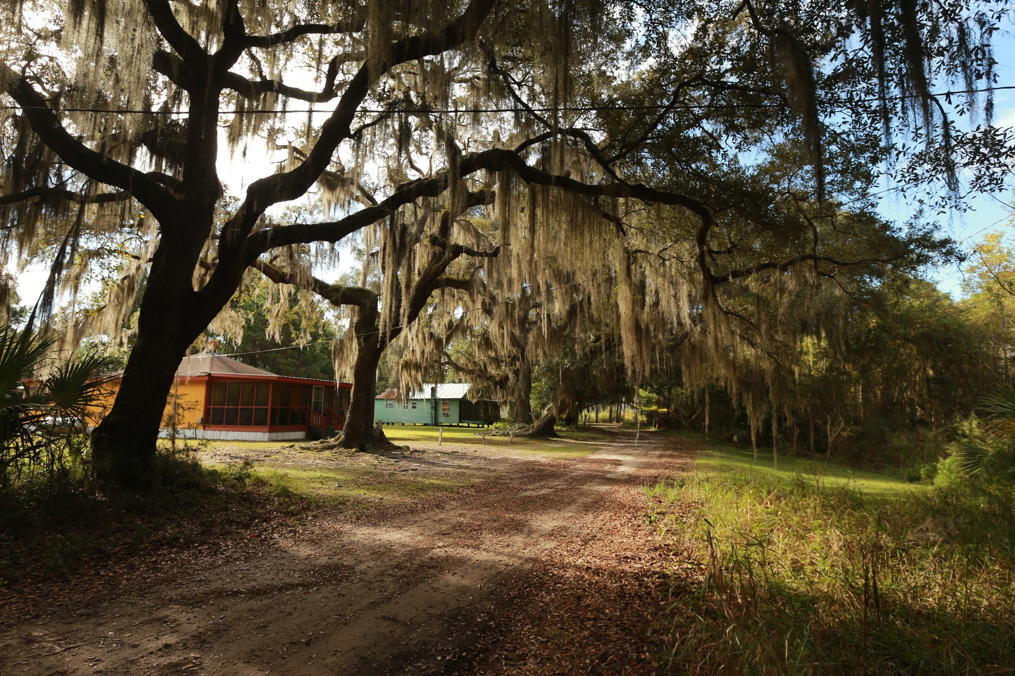 Colorful homes of the few families remaining on Sapelo Island can be seen along one of the dirt roads running through Hog Hammock.