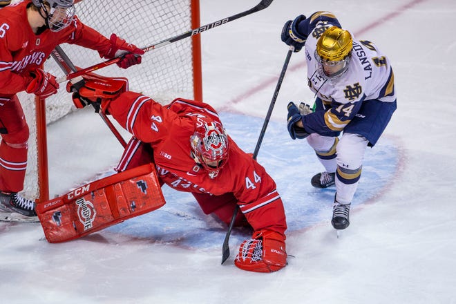 Notre Dame's Jesse Lansdell (14) and Ohio State's Jakub Dobeš fight for a loose puck during the Notre Dame vs. Ohio State NCAA hockey game Dec. 3, 2021 in South Bend. Saturday in Columbus, Dobeš and the Buckeyes turned away the Irish, 4-1.