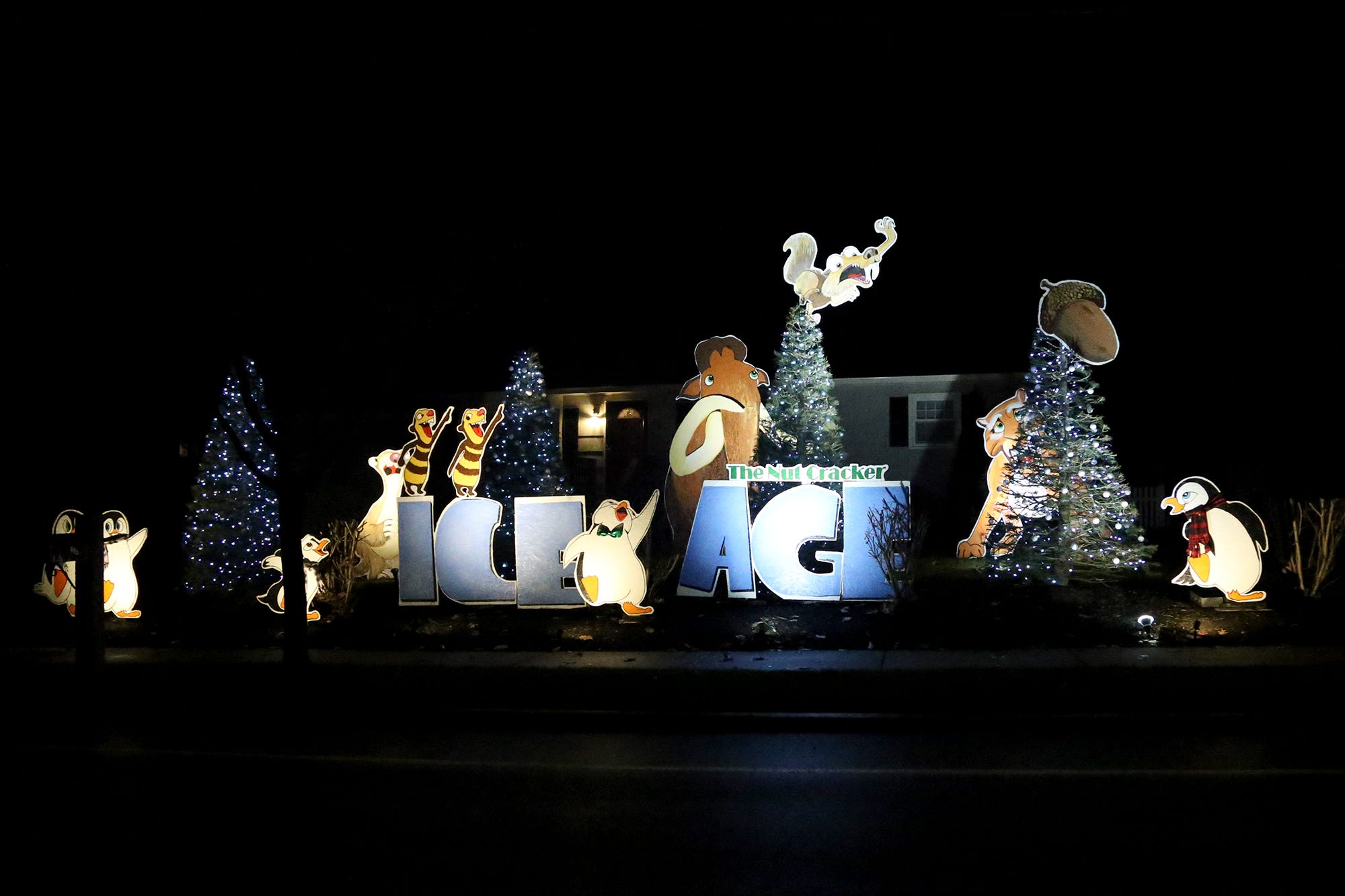 Berwick christmas lights 2022