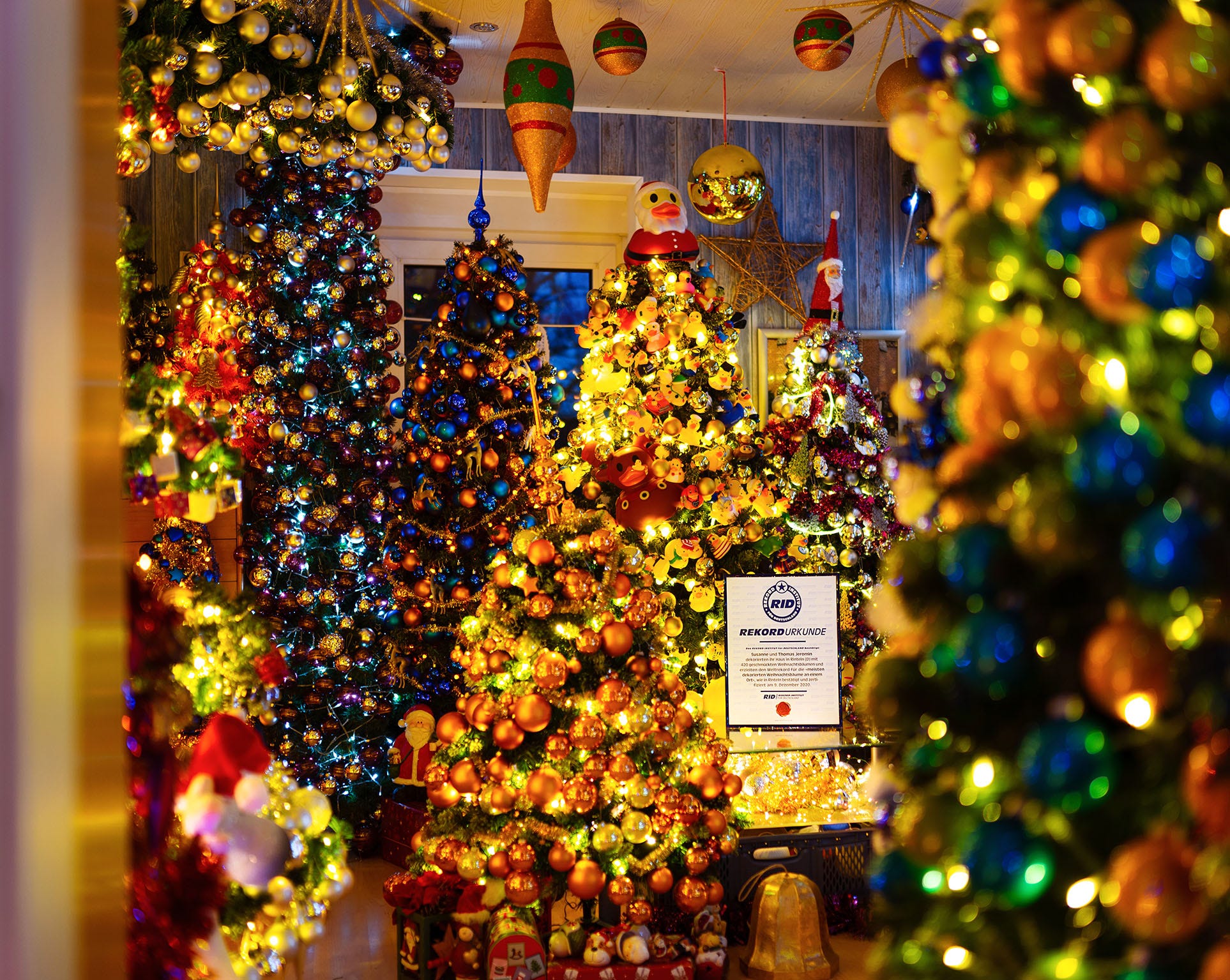 Family breaks record for 'most decorated Christmas trees' in Germany