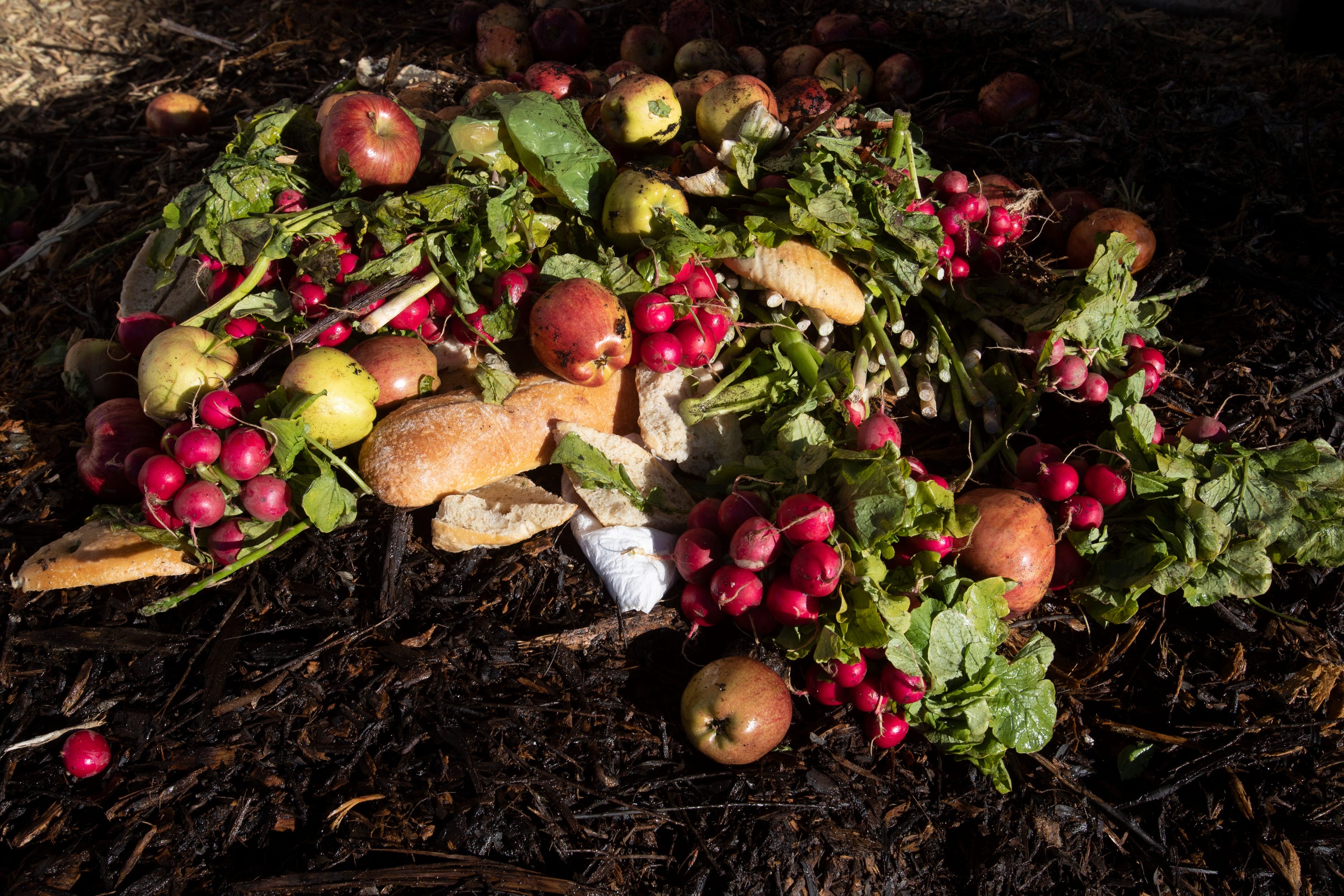 Composting trash, kitchen debris can make gardens more productive Our