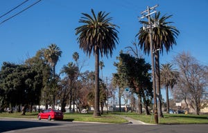 Stockton's Columbus Park, at 401 Worth Street, will be reactivated and renovated with a nearly $3.4 million grant from the State of California Department of Parks and Recreation.