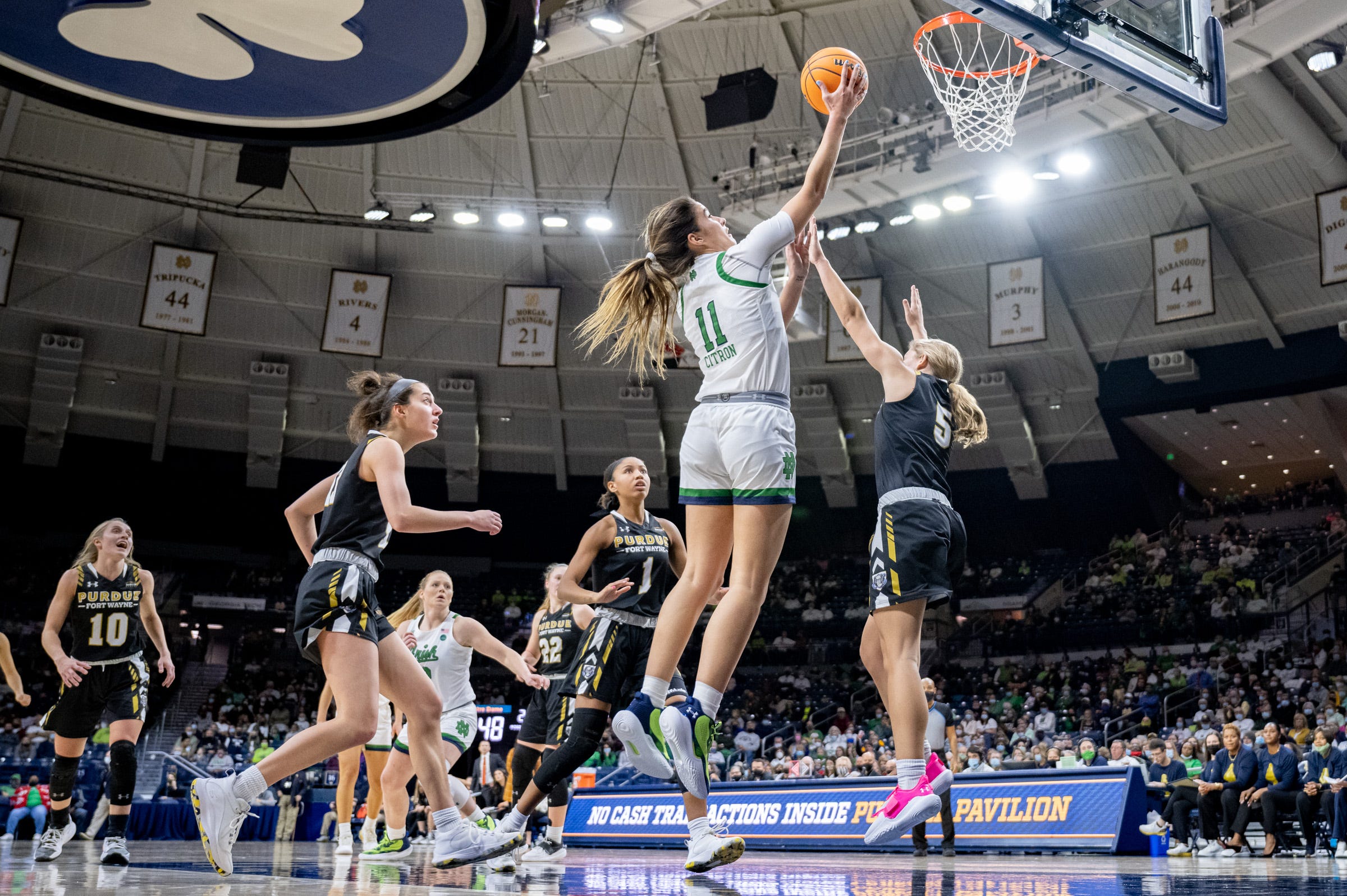 women's college basketball: Purdue Fort Wayne at Notre Dame ...