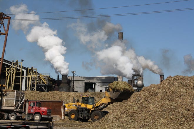 The 2021 sugarcane harvest is in full swing at Cora Texas, but a supply shortage and fallout from Hurricane Ida have made this year’s harvest season more difficult.