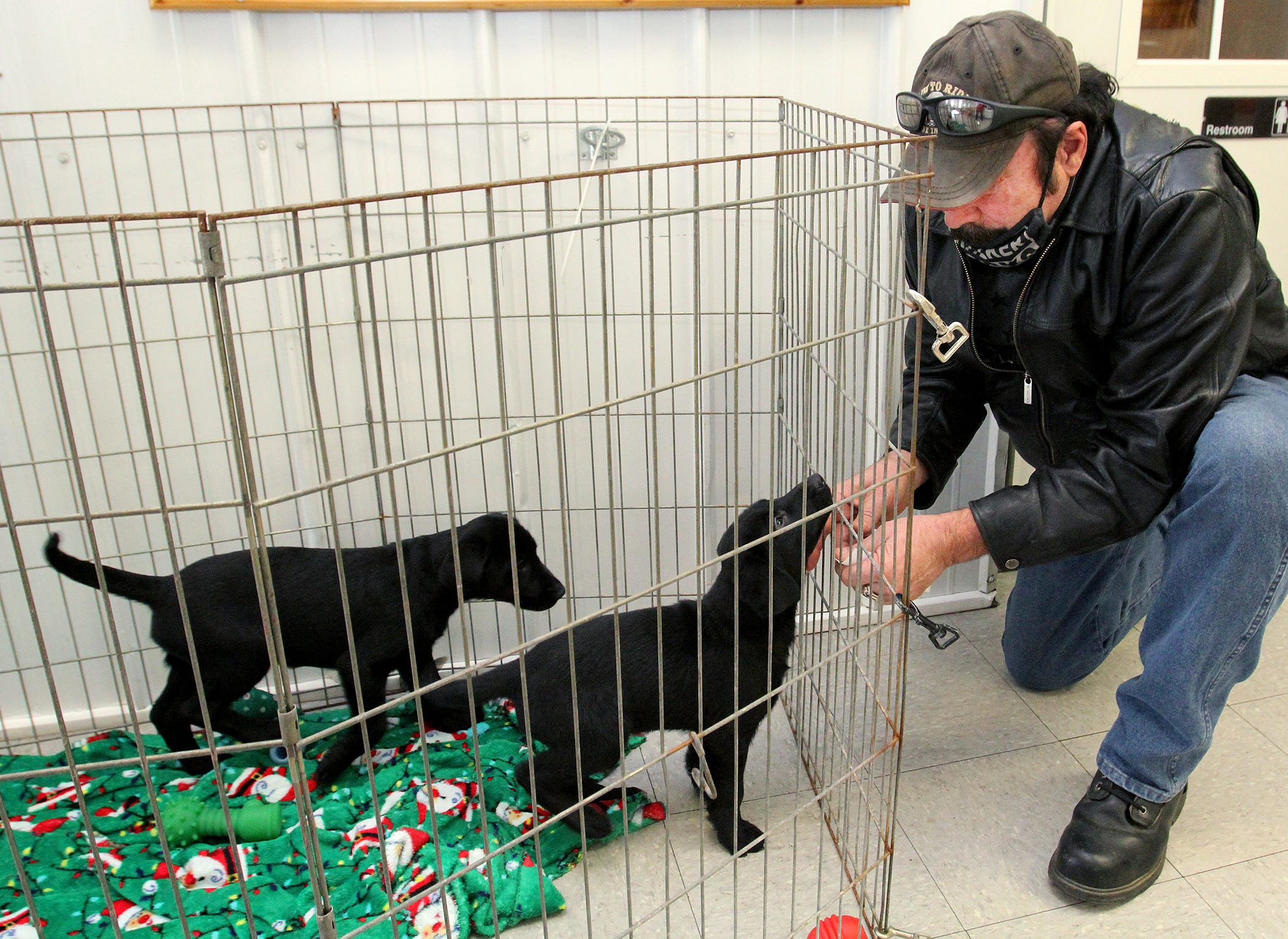 Freeport Animal shelter: Friends Forever hold pet rescue fair