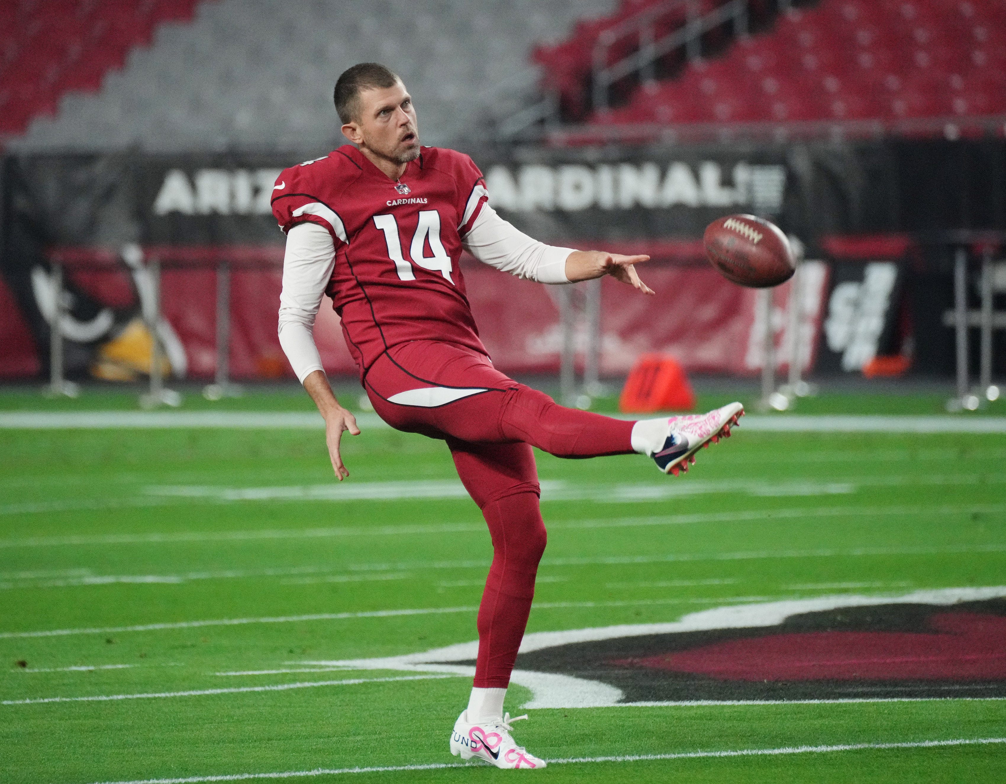 Cardinals re-sign long snapper Brewer, agree to terms with punter Lee