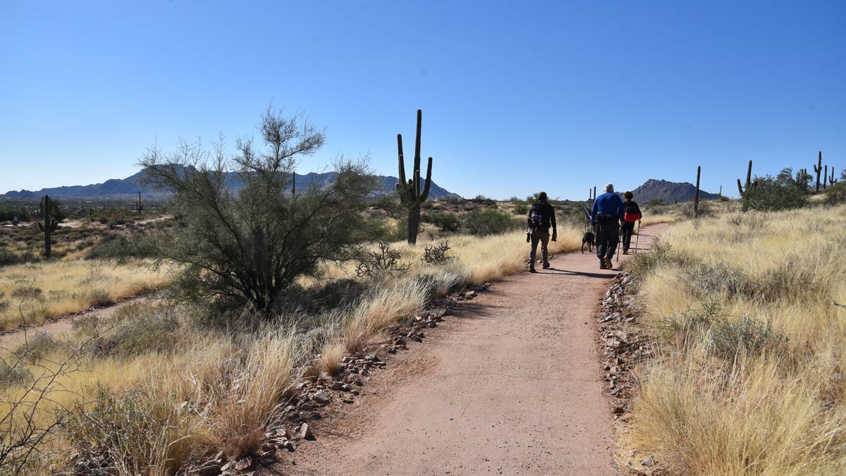 Pendakian mudah di Scottsdale: Jejak bebas hambatan membuka gurun untuk semua orang