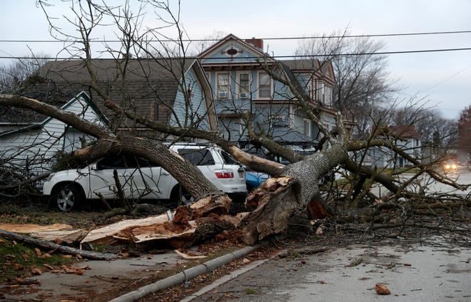A fallen tree along School Place near the corner of South Ashland Avenue after high winds moved through the region overnight is pictured on Dec. 16, 2021, in Green Bay.