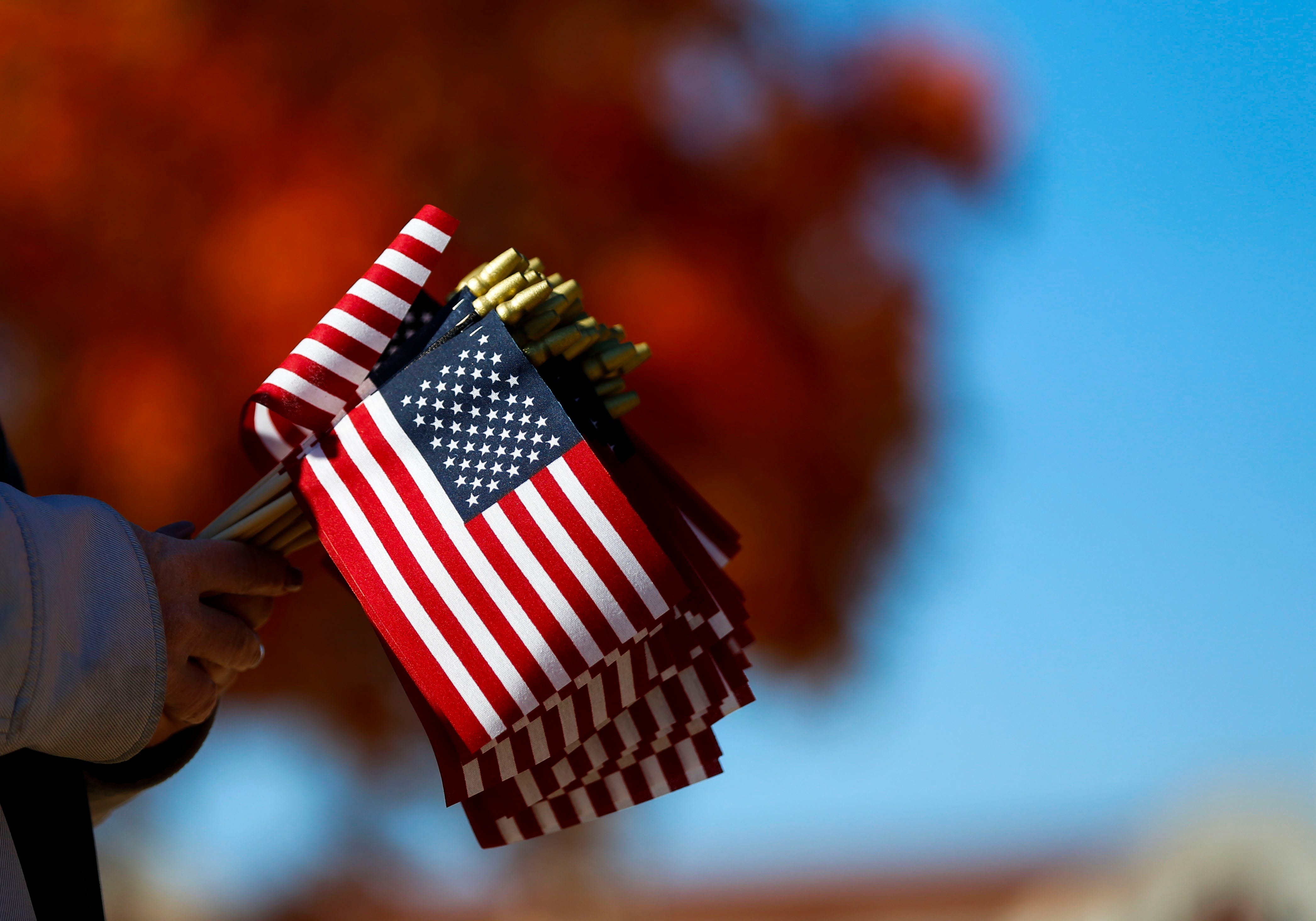 A lone American flag flying near a rural landscape, symbolizing isolated veteran services.