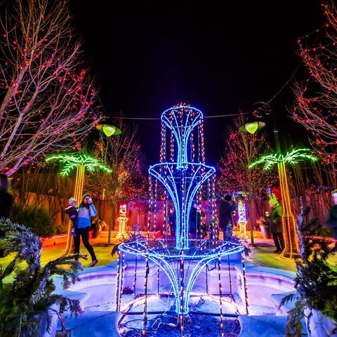 River of Lights - ABQ BioPark Botanic Garden - Alb