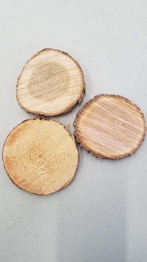 The trunk of used Christmas trees can be cut to make drink coasters.