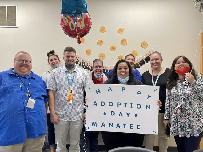 The Safe Children Coalition coordinated 37 adoptions in November. Manatee County team members include, from left, Daniel Remchuk, Gabi Miller, Paul Grassia, Eli Reyes, Loraine Ortiz, Lidia Casanova, Paula Walsh and Cindy Ray.
