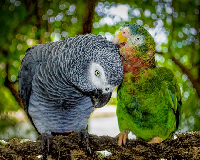 Photo taken by Dick Dougall