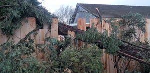 A large redwood tree that had split into 2 trunks broke after the heavy rain and windstorm in January 2021, damaging a neighbor's fence.