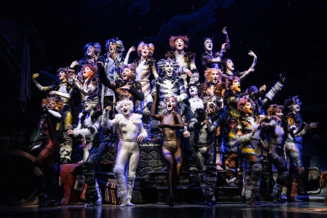 The national touring company of "Cats."
