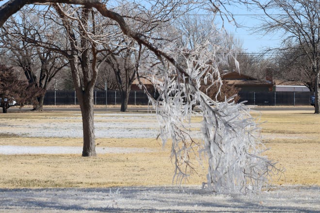 An arctic blast hits the Panhandle to start 2022.