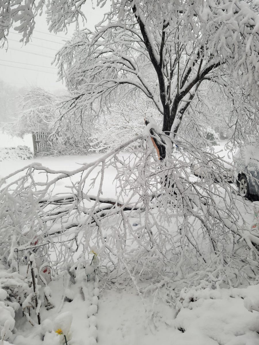 Snow covers a yard in Centreville, Virginia on Jan. 3, 2022.